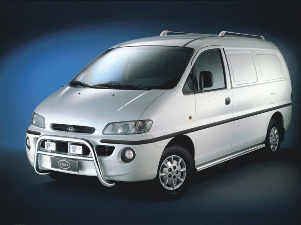 Hyundai H200 Bj. 99 (langer Radstand): COBRA Chrom-Seitenschutzrohre