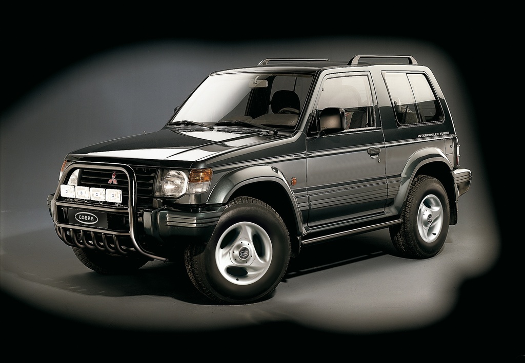 Mitsubishi Pajero: COBRA roof rails