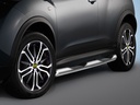 Nissan Juke since 2010: COBRA Side Protection Bars | with steps